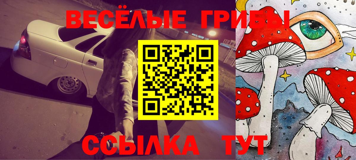 Галлюциногенные грибы GOLDEN TEACHER Канаш